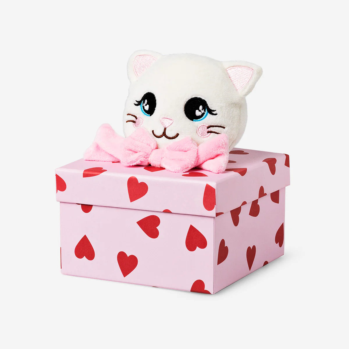 Gift box with plush dog/cat
