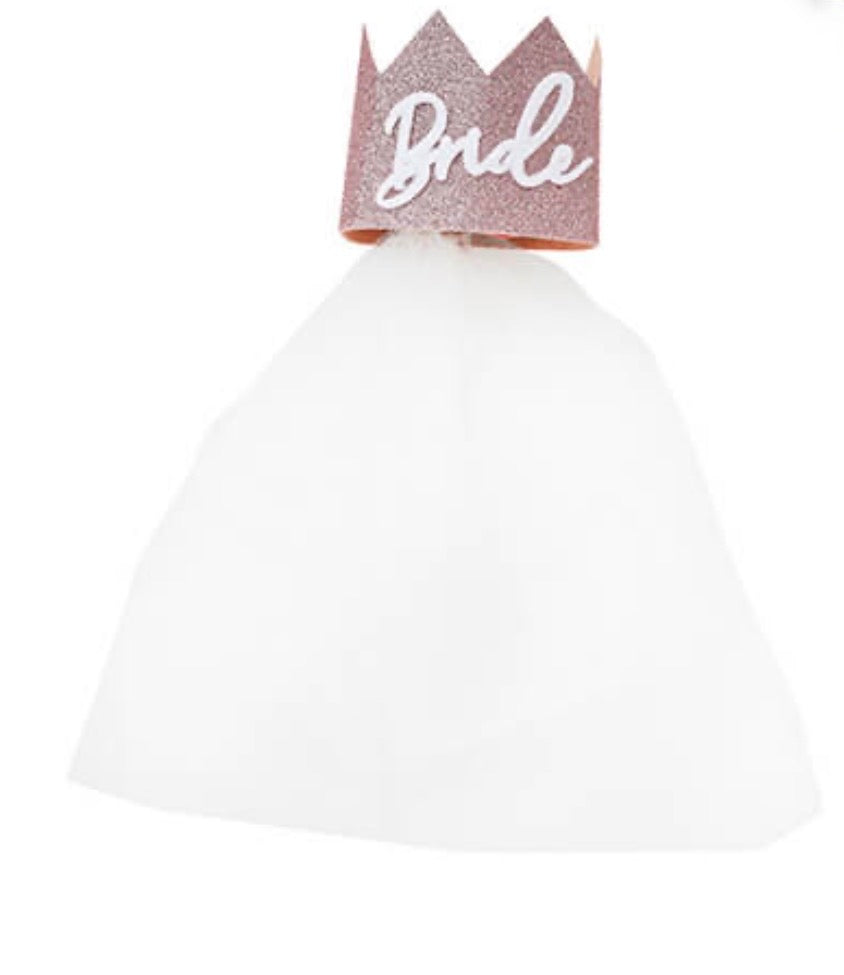 Hen Party Rose Gold Glitter Bride Crown with Veil
