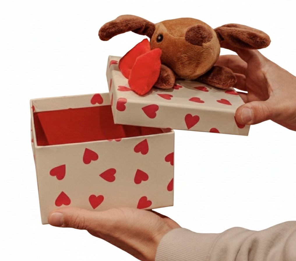 Gift box with plush dog/cat
