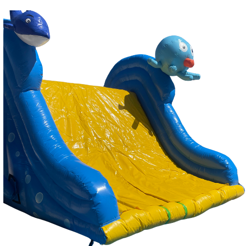 Poolside Fun Jumping Castle Rental